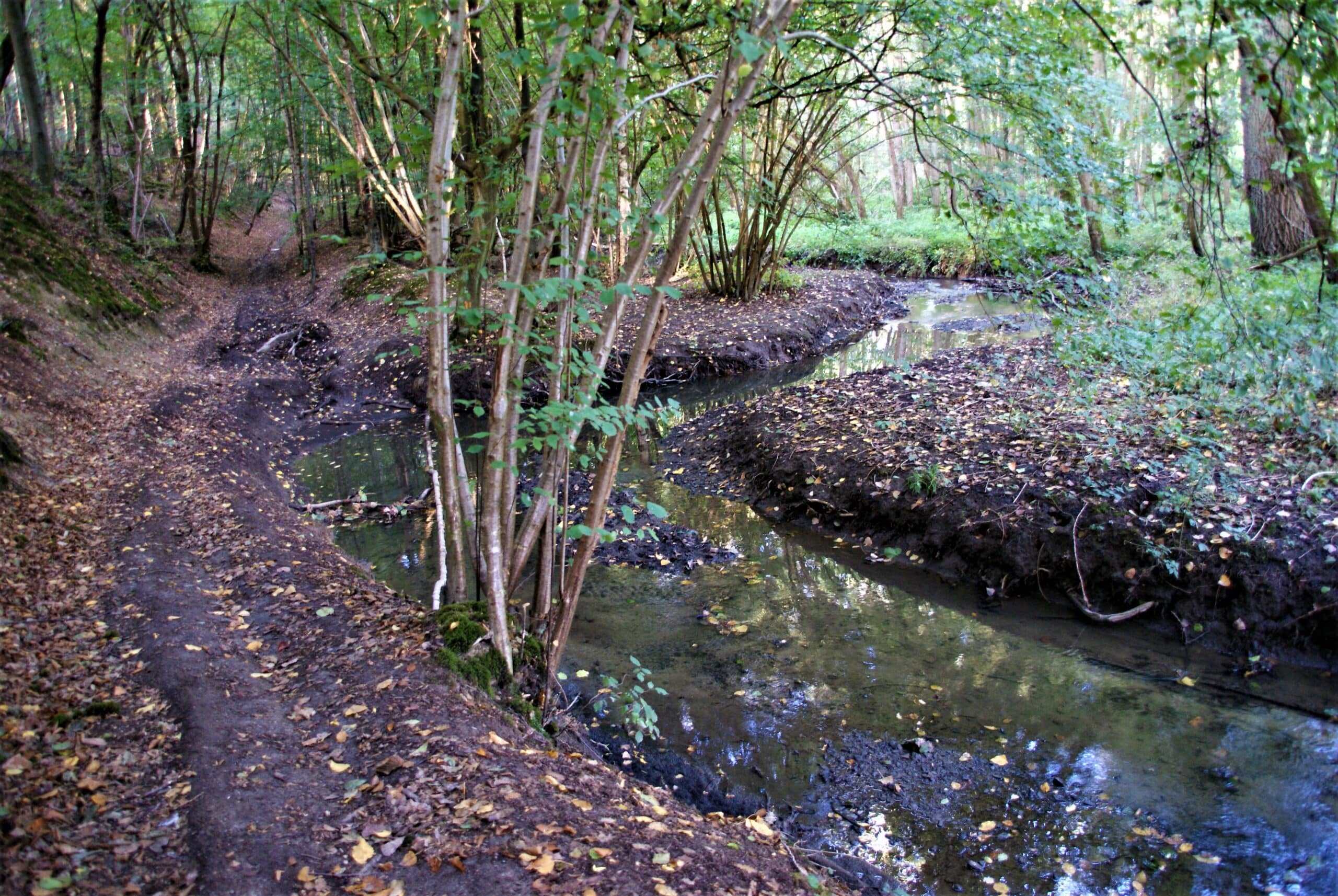 Large Eau en automne, avec son cours d'eau serpentant à travers les couleurs chaudes de la saison.