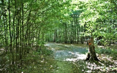 Spaziergang von Gembloux nach Chenémont