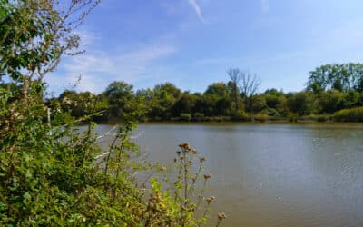 Naturreservat von Escaille