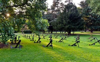 Arboretum de l’Abbaye