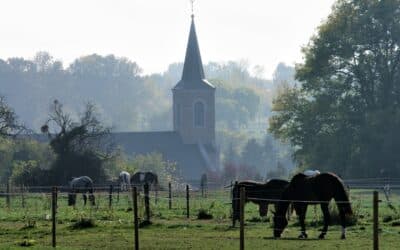 Das Dorf Lonzée