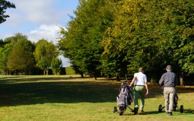 Falnuée Golf Club