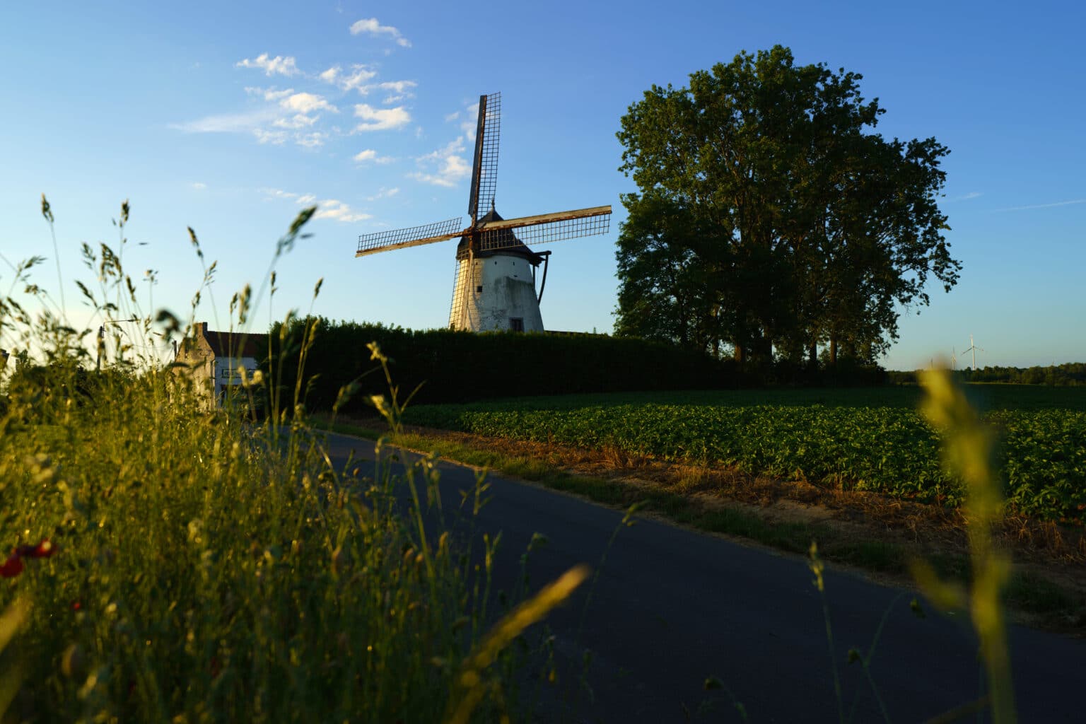 Moulin Defrenne, avec un zoom sur la route herbeuse menant au site, capturé par Denis Closon, mettant en valeur le charme naturel et l'atmosphère paisible de cet endroit historique.