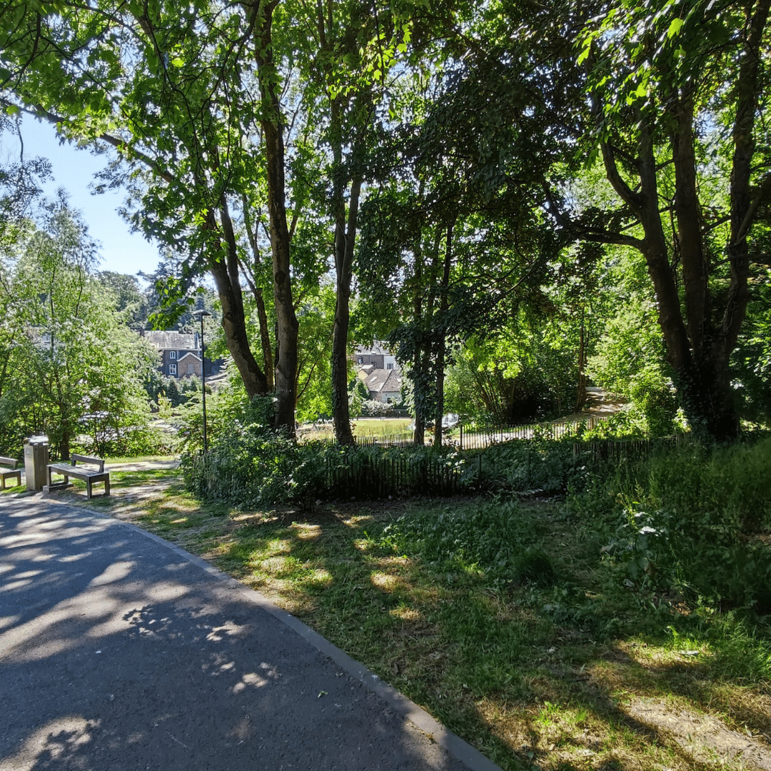 Photos parc à Gembloux lors de l'été