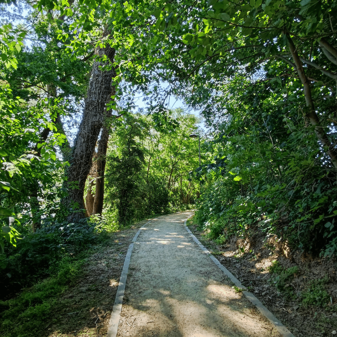 sentier à Gembloux