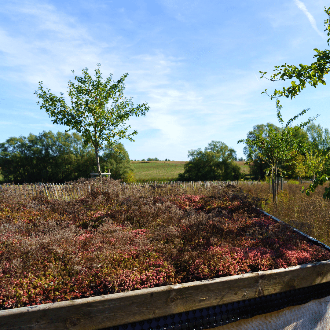 Vue de la réserve naturelle Escaille à Gembloux, un espace de nature préservée avec des sentiers de randonnée à travers bois et prairies.