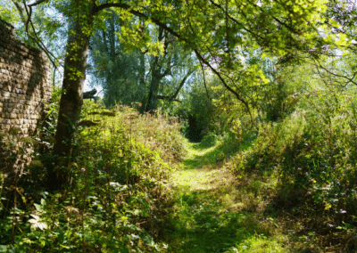 Sentier menant à la réserve en été