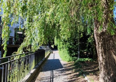 vue lors de la balade Totemus avec sentier et ruisseau