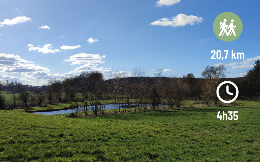 Coutelier des bois stroll
