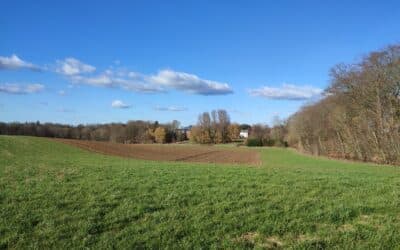 Nouvelle balade : Coutelier des bois