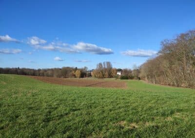 Entdecken Sie die Landschaft bei einem Spaziergang durch den Wald Messerschmied