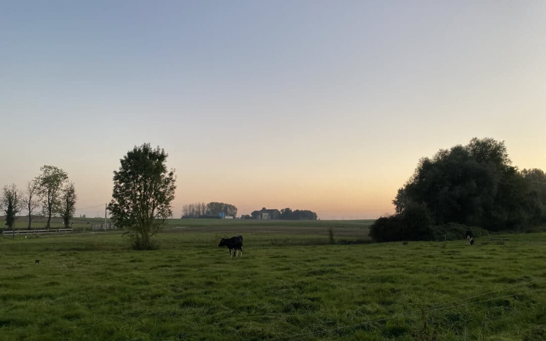 Sauvenière campagne