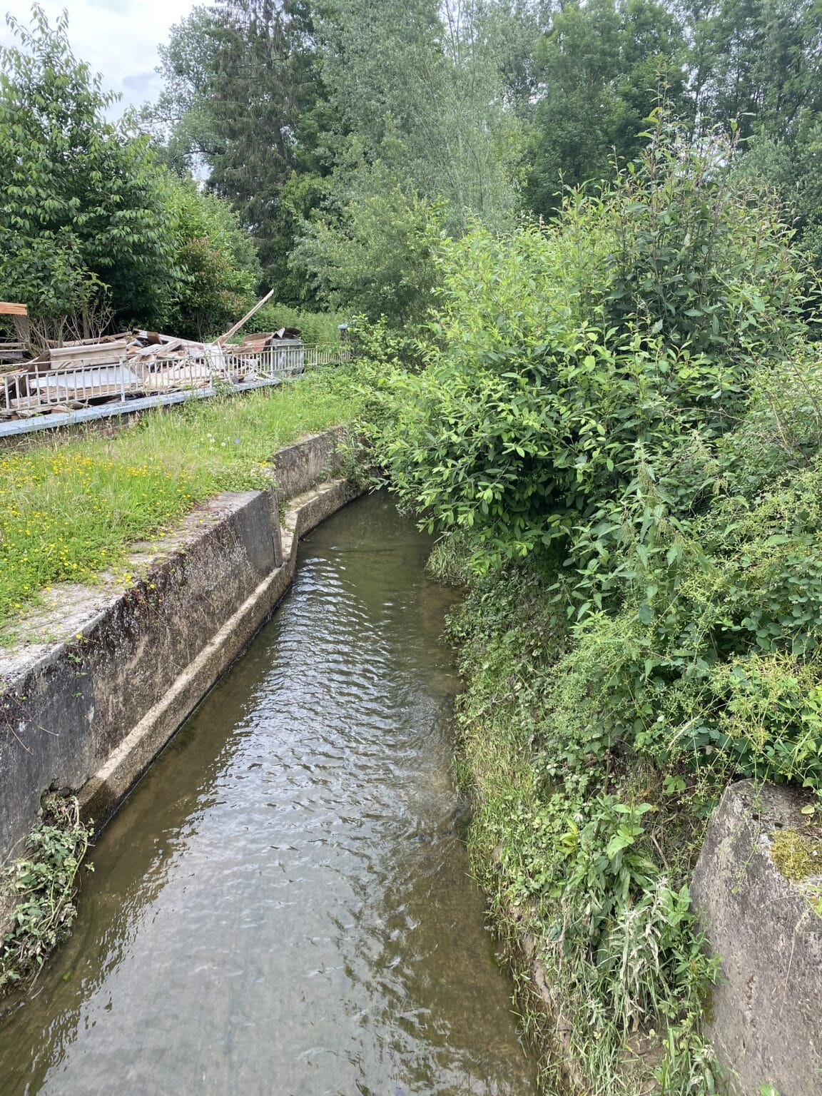 Lonzée Arton Ruisseau l'Arton