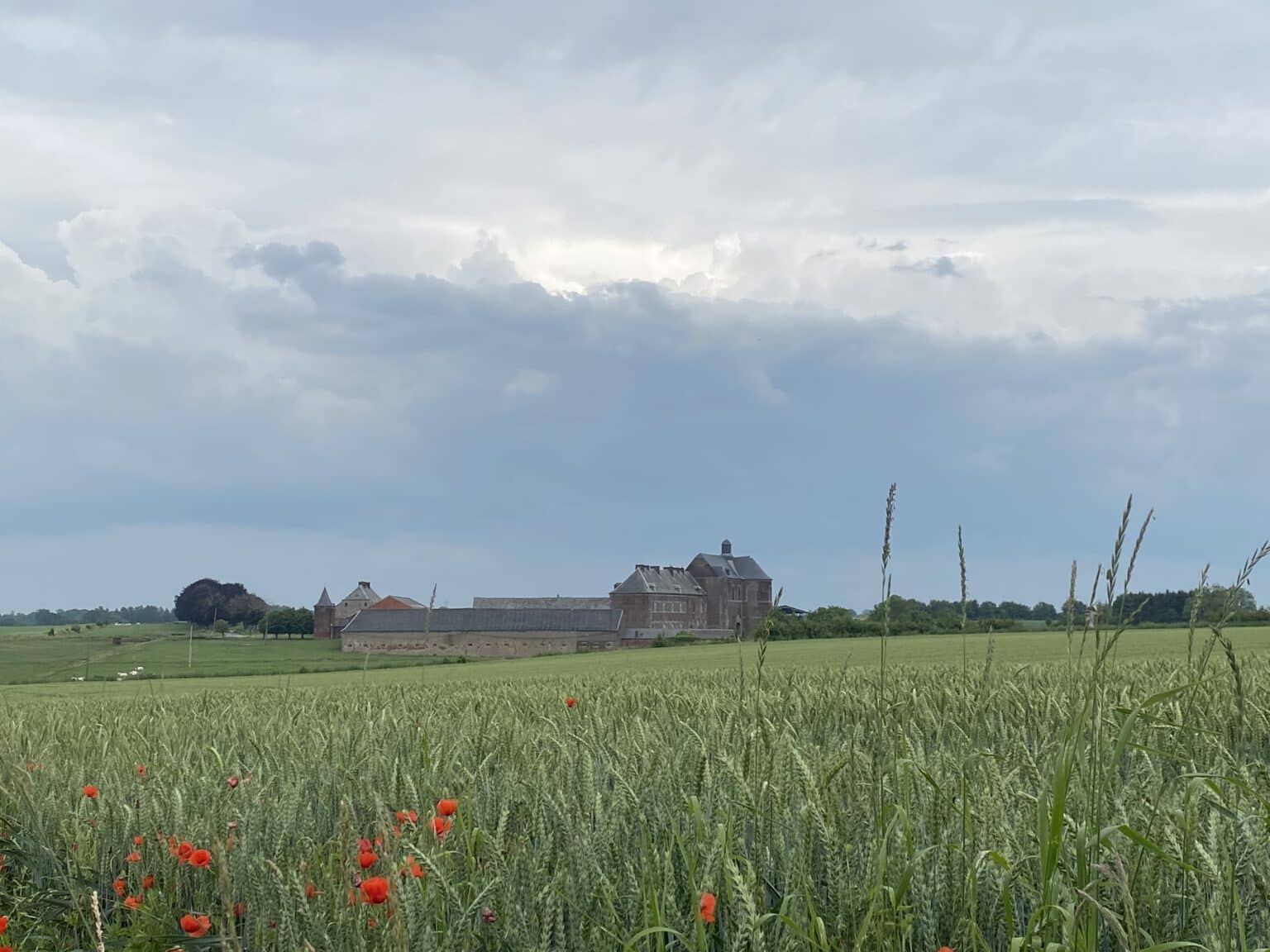Lonzée – abbaye Blick auf die rote Mohnblume in der Nähe der Abtei, die der umgebenden Landschaft einen kräftigen Farbtupfer verleiht.