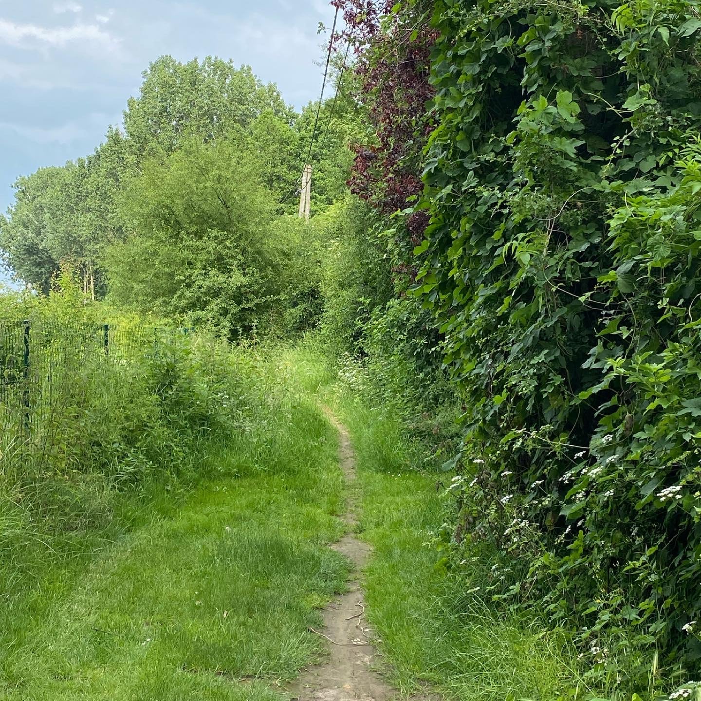 Lonzée – sentier sentier pédestre à Lonzée