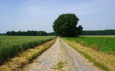 Erstellen Sie Ihre Wanderung