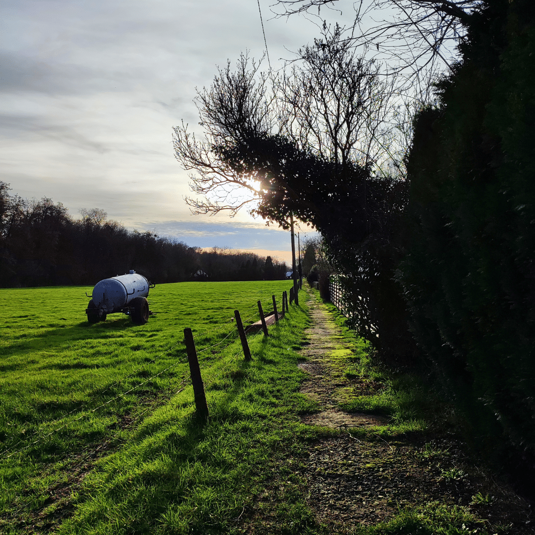 Promenade à Bossière sentier et champs
