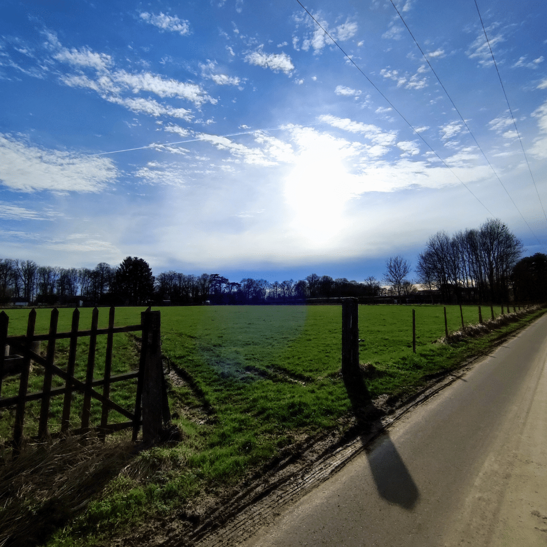 champs et ciel bleu