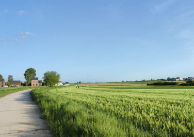 Campagne à Sauvenière