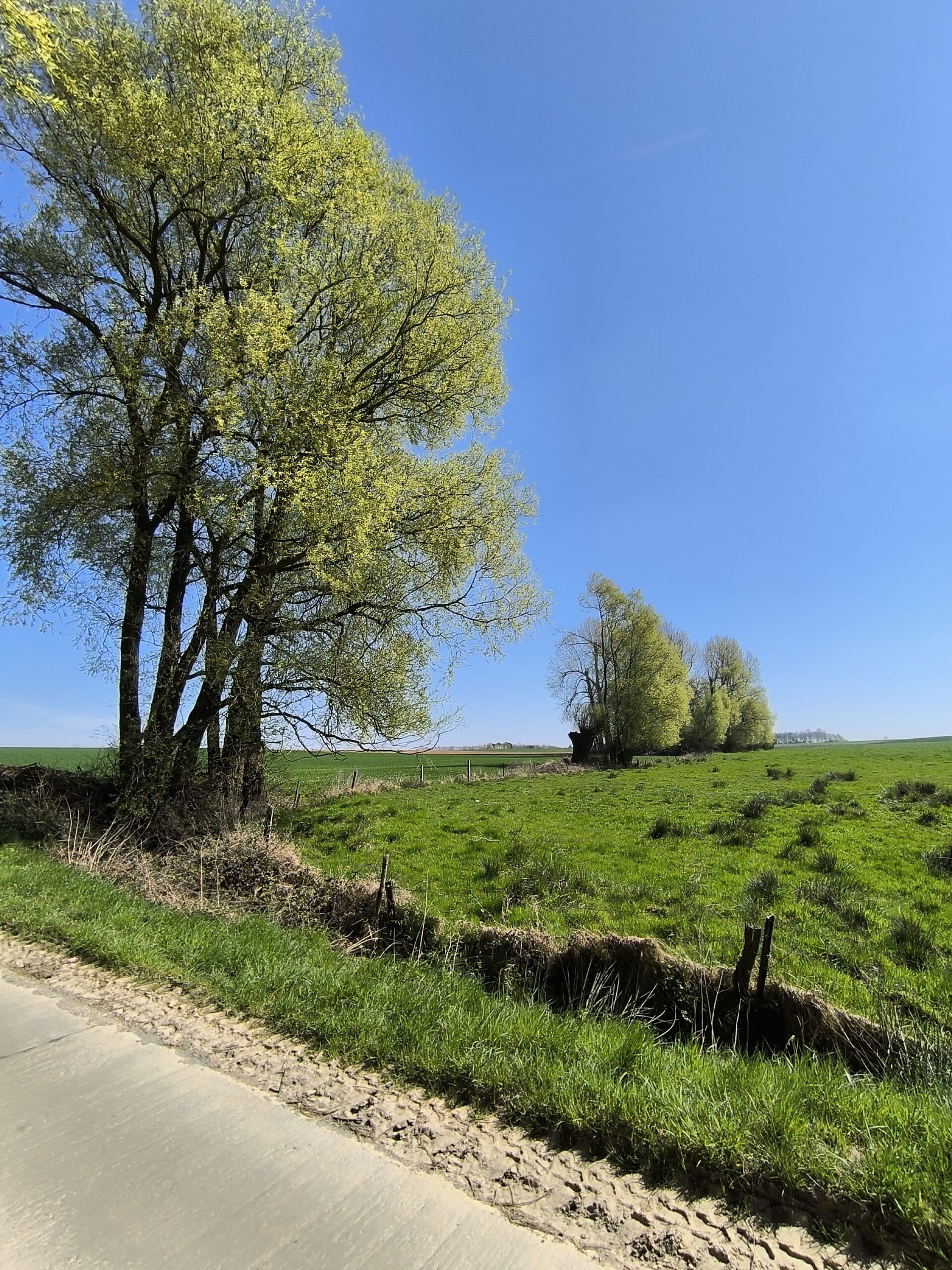 Ernage photos - Avril 2025 à Gembloux campagne à Ernage