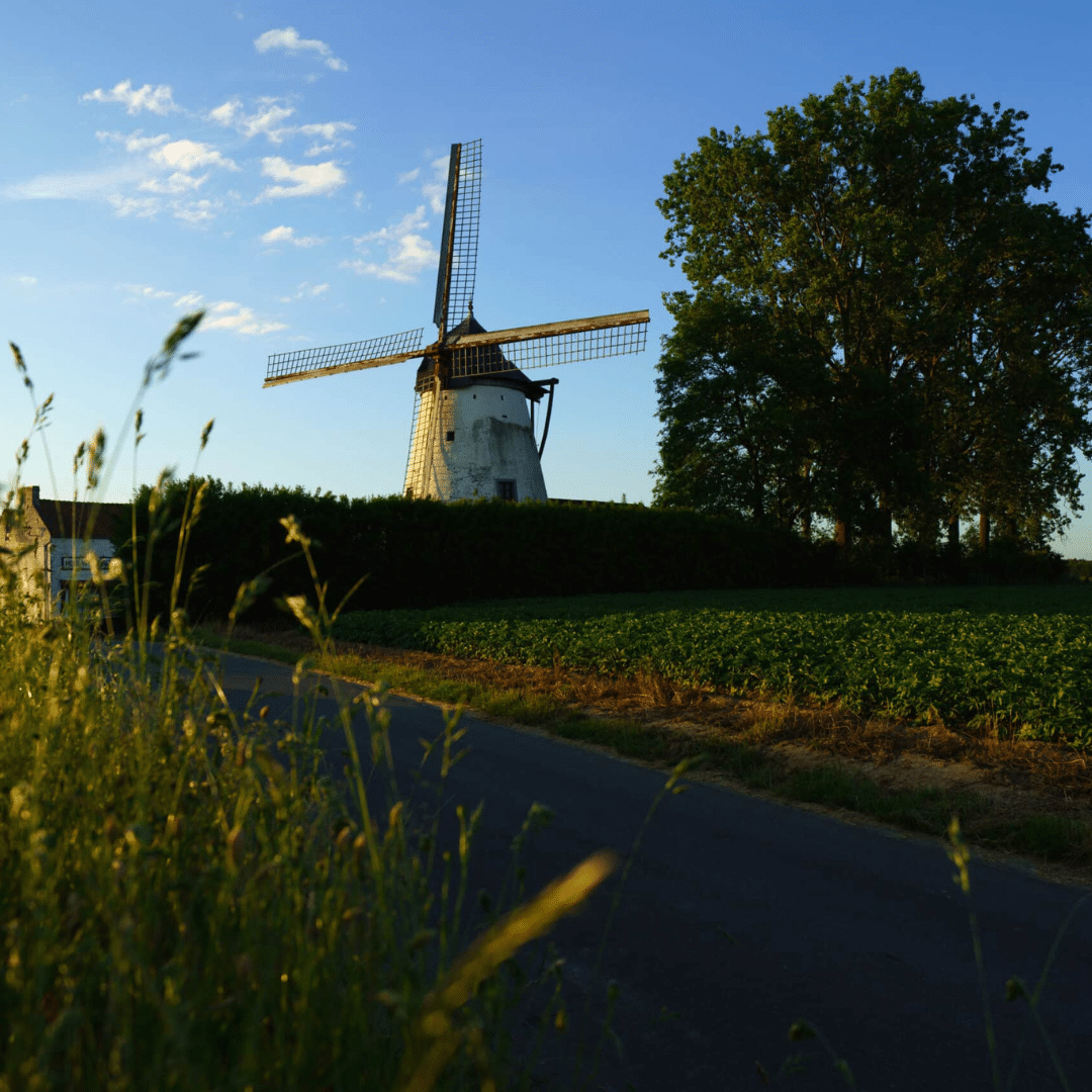 Le moulin Defrenne, majestueux sous un ciel bleu éclatant.