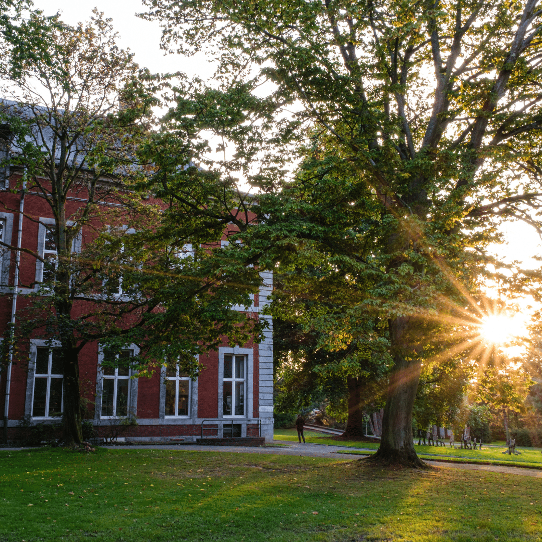 photo de l'abbaye près de l'arboretum avec un couché de soleil à travers les arbres