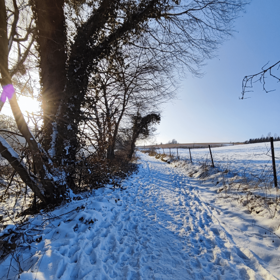 de Gembloux à Corroy-le-Château photo en hiver Large Eau