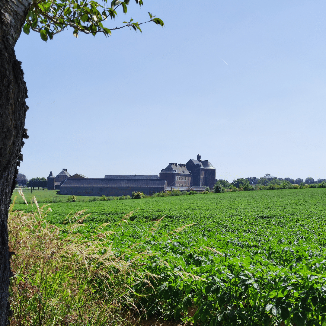 Lonzée chemin de campagne