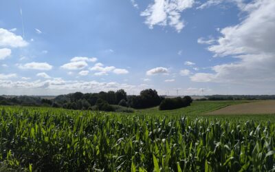 Het dorp Mazy