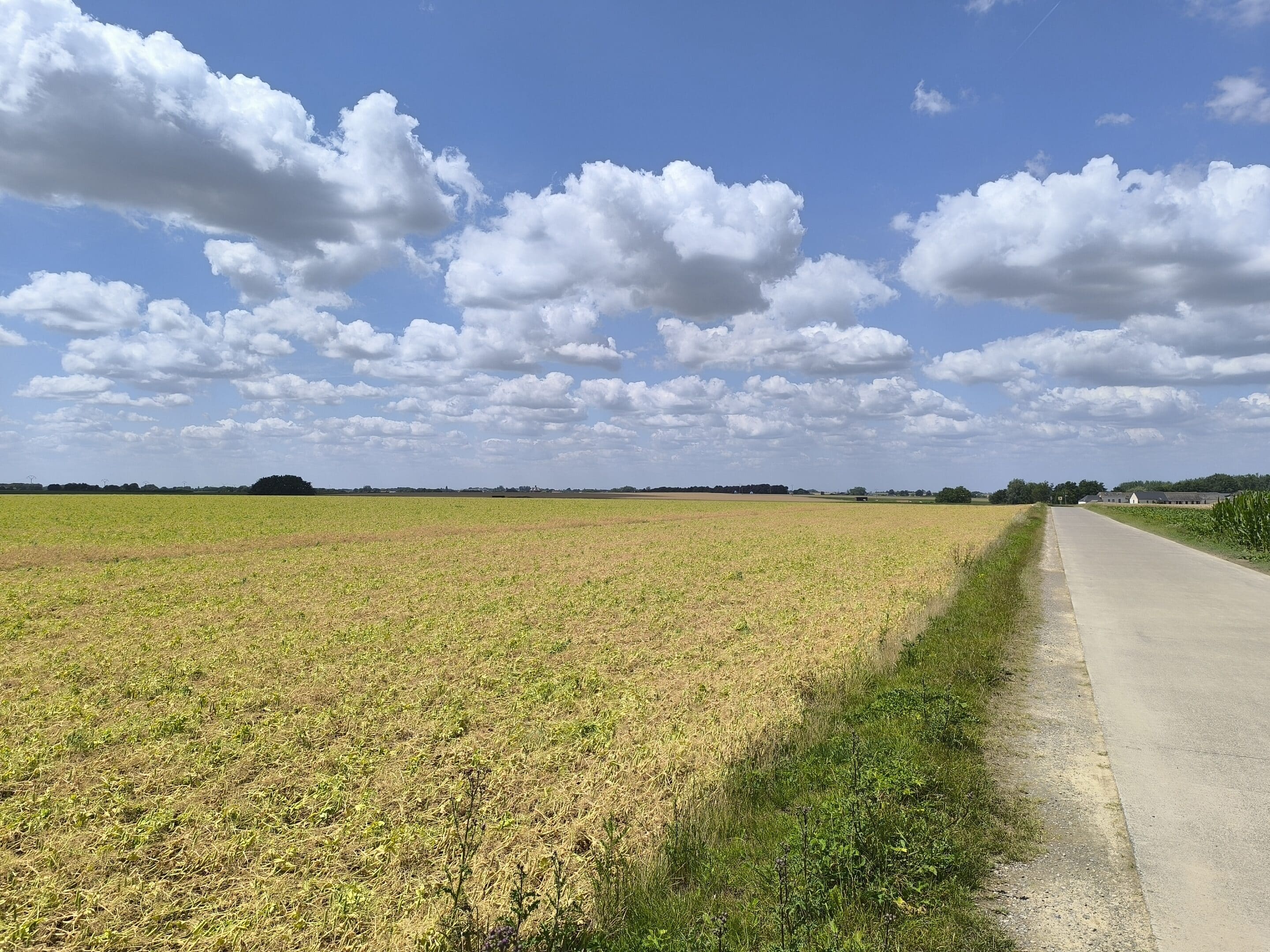 Balade à Beuzet de 12,8 km (1)