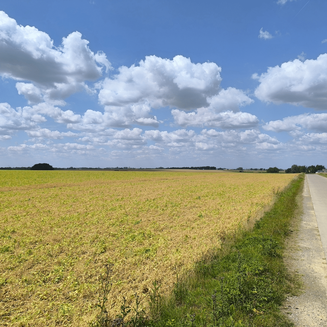 Balade à Beuzet de 12,8 km (1)