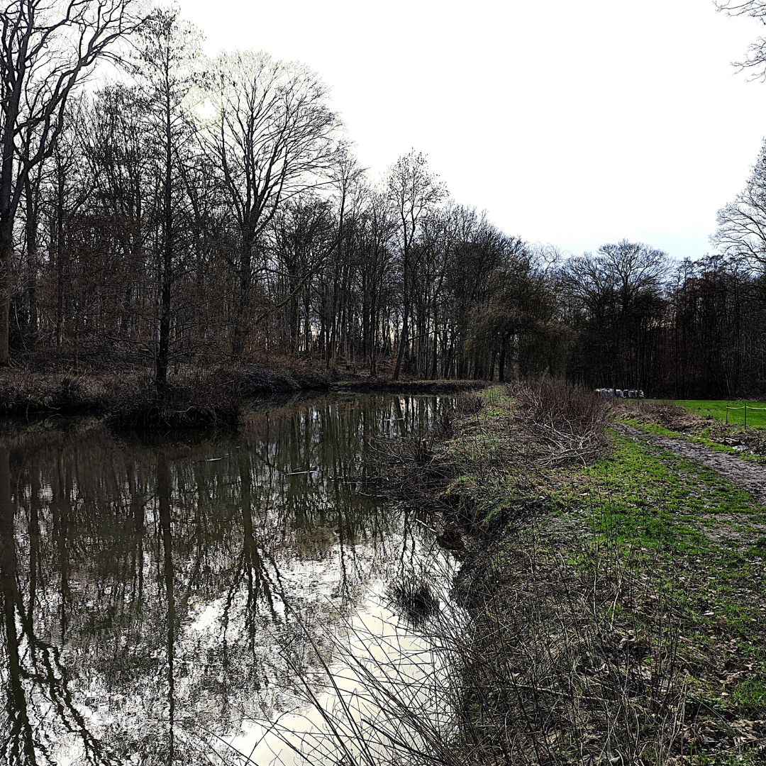 Balade à Beuzet de 12,8 km (4)