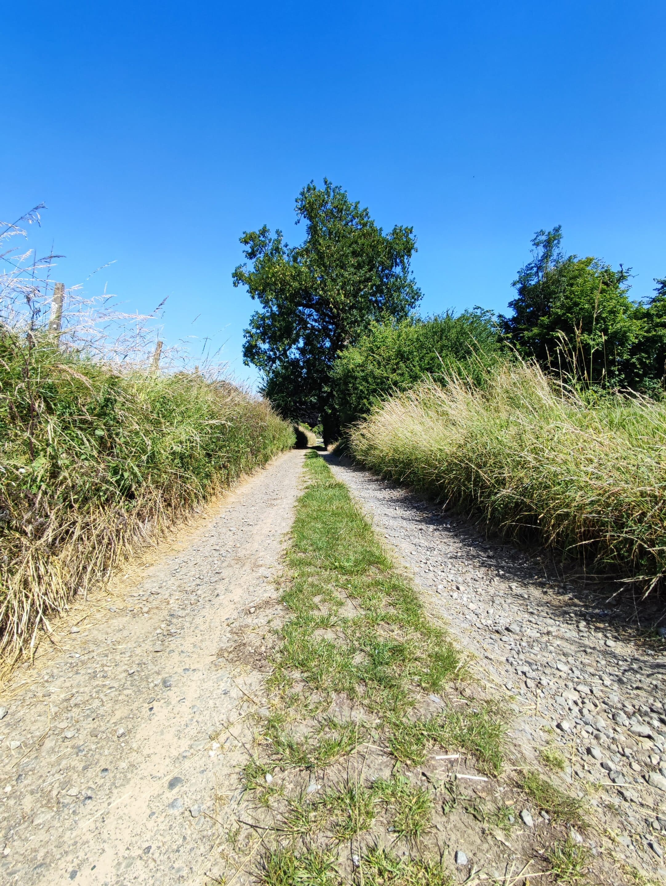 Balade à Lonzée avec Visit Gembloux (5)