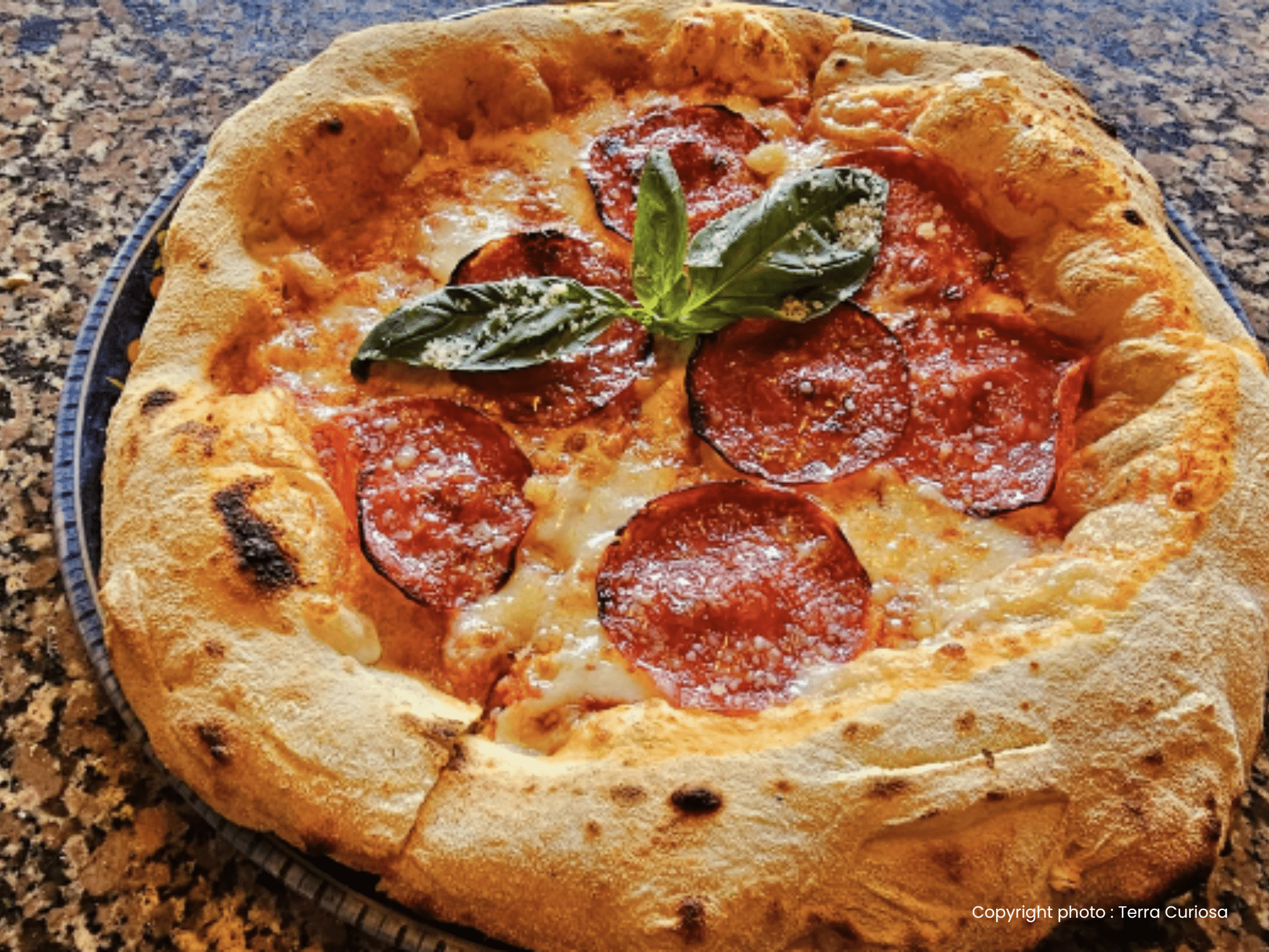 Vue sur une délicieuse pizza 