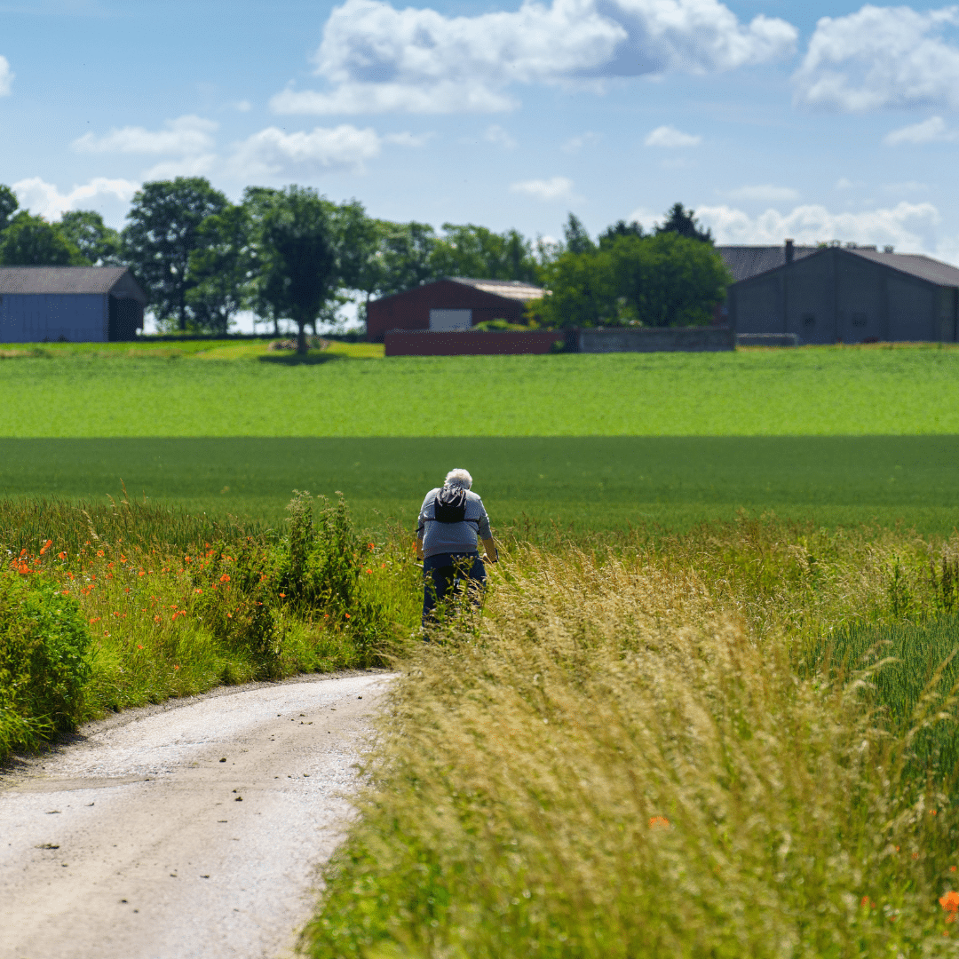 Site internet - Balades Lonzée chemin de campagne