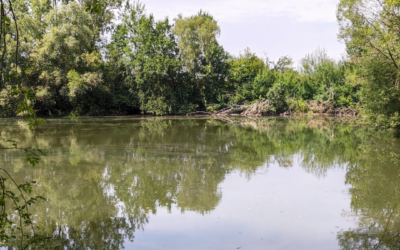 L’ancienne briqueterie de Grand-Manil