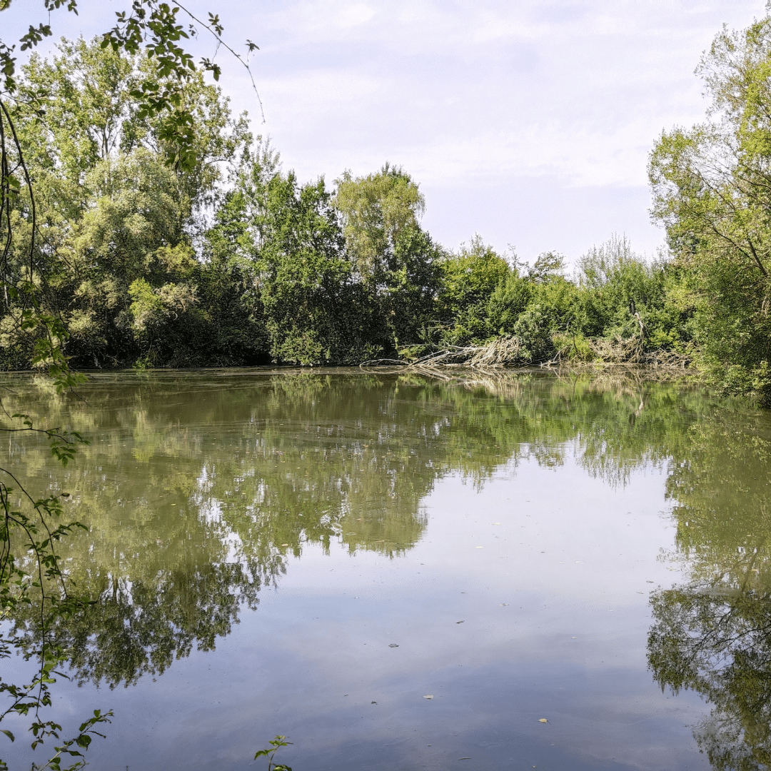 Baladez-vous à la Briqueterie de Grand-Manil à deux pas de Gembloux (2)