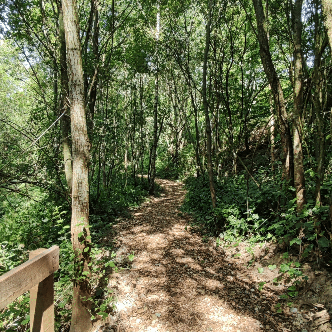 Baladez-vous à la Briqueterie de Grand-Manil à deux pas de Gembloux (3)